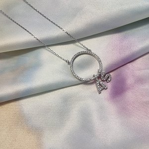 Hoop Necklace with Initials